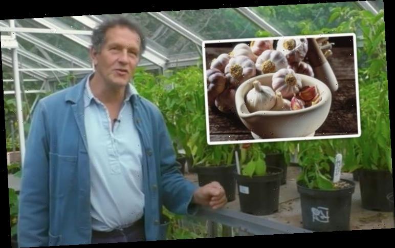 Monty Don: Gardening expert shares how to keep your garlic fresh ‘for up to a year’