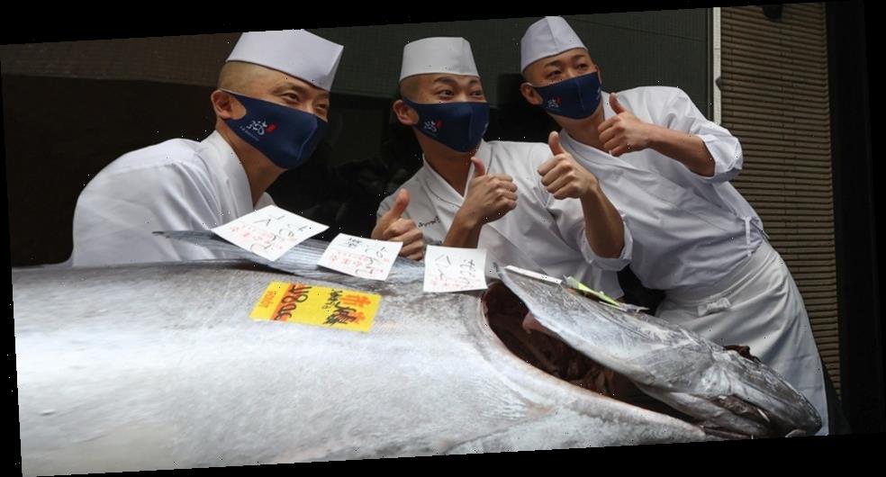 208kg Bluefin Tuna Sells for Modest $202,600 USD at Tokyo's Toyosu Fish Market