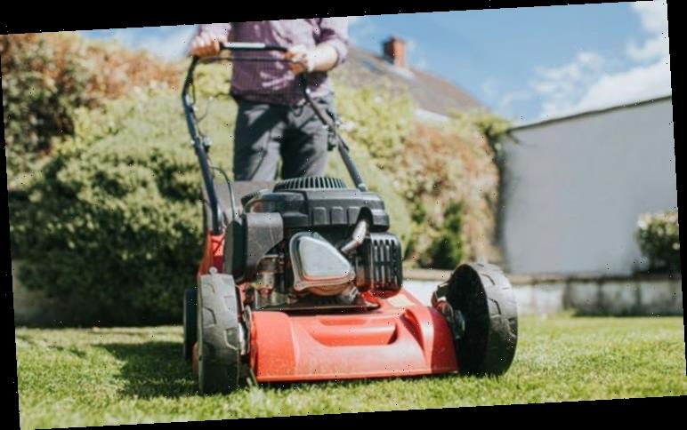 Grass cutting: When is the perfect time to cut your grass after winter?