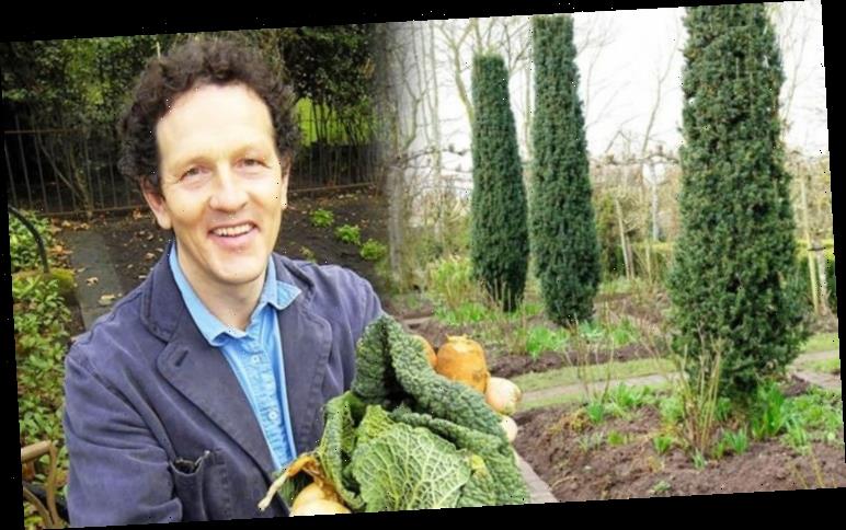 Monty Don gives box hedge update and his fans are overwhelmed with the change – ‘wow’