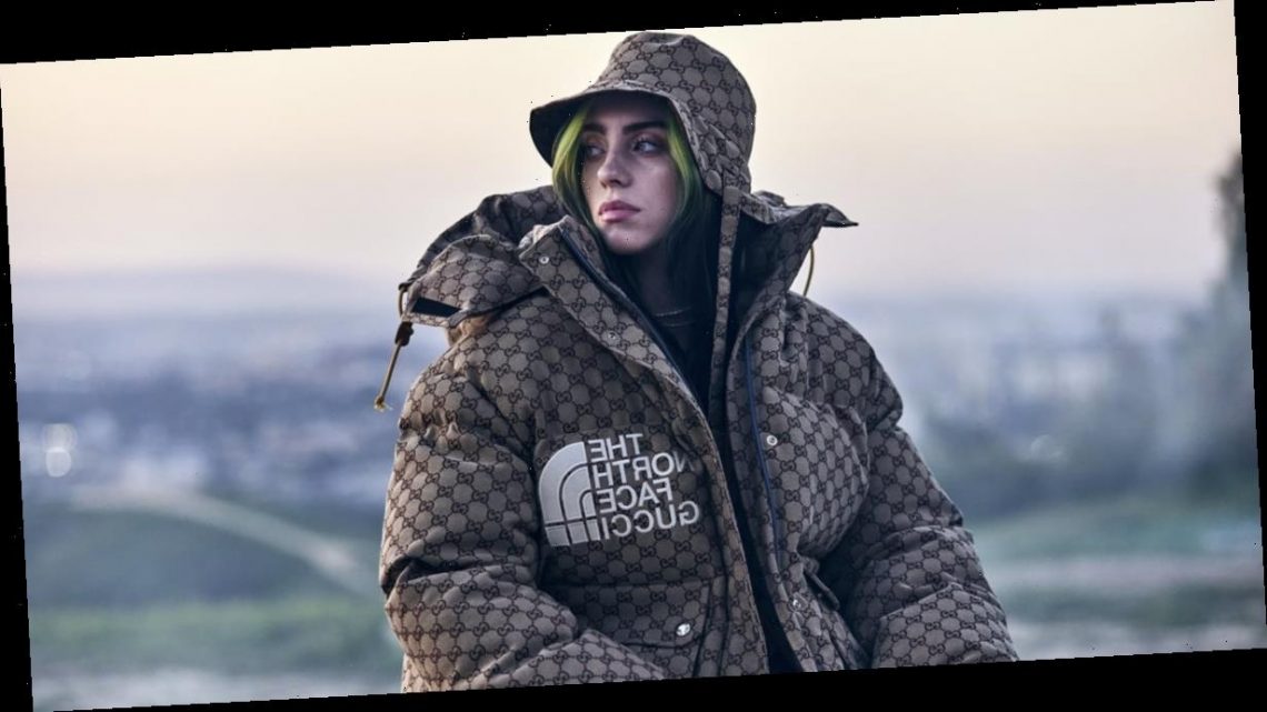Billie Eilish Exuded Flyness at Her Film Premiere in the North Face x Gucci Puffer Jacket
