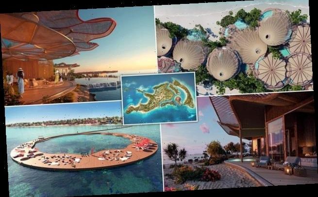 Designs revealed for gateway island to Saudi Arabia&apos;s &apos;giga-resort&apos;
