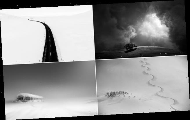 The winning images in a black and white minimalist photography contest