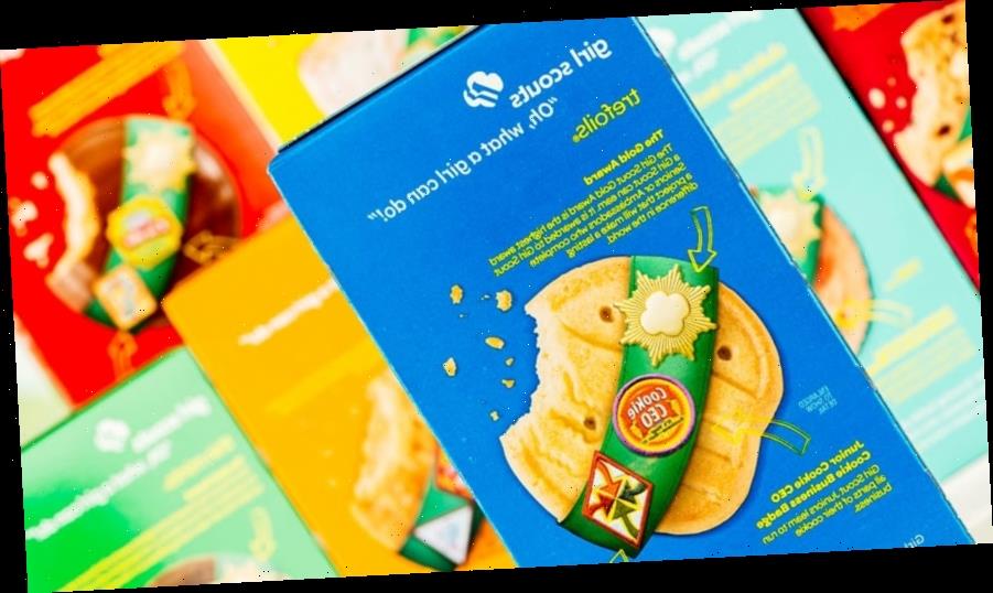 Girl Scout breaks cookie-selling record with more than 30,000 boxes sold