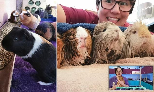 Mother with 88 guinea pigs makes £40,000 a year through online fans