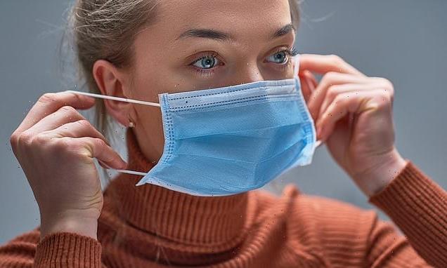 CHRISTOPHER STEVENS: One day, that face mask could be worth a fortune
