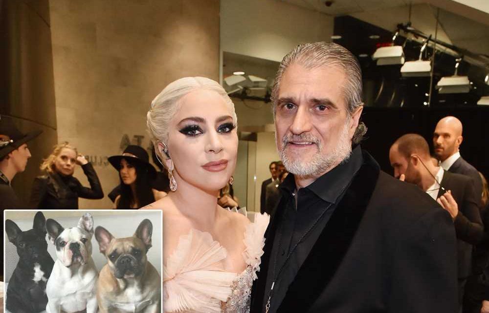 Lady Gaga’s dad says he never believed ‘unusual’ story of woman who found dogs