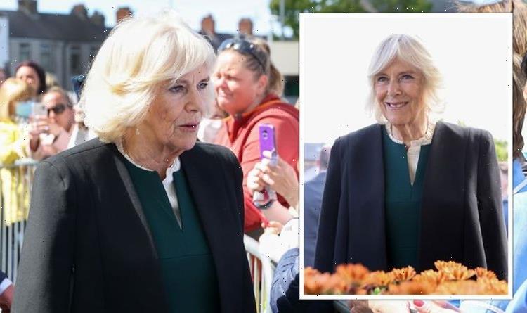 ‘Smart’ Camilla gives sweet nod to Ireland in ‘elegant’ green dress for visit with Charles
