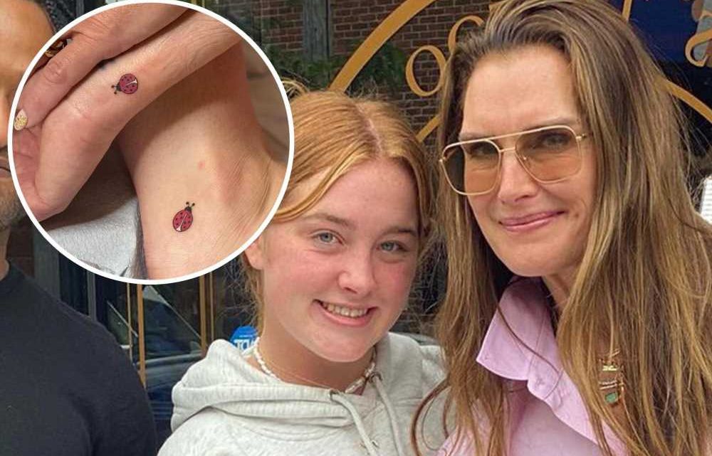 Brooke Shields gets matching ladybug tattoos with daughter Rowan
