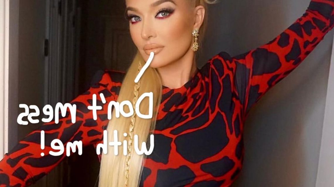 Erika Jayne Slams Bankruptcy Lawyer For Making ‘Vicious’ Claims About Her On Social Media!