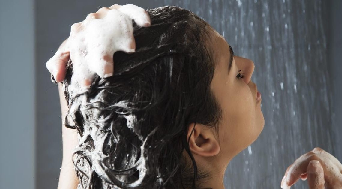 22 Sulfate-Free Shampoos That Won't Dry Out Your Scalp or Hair