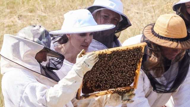 Angelina Jolie Wears Beekeeper Suit to Honor 'Women for Bees' Grads