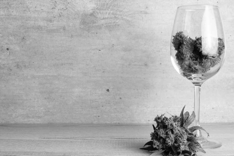 My Tip for Cannabis Brands Based on the Historical Scope and Market Growth of Cannabis-Infused Wine