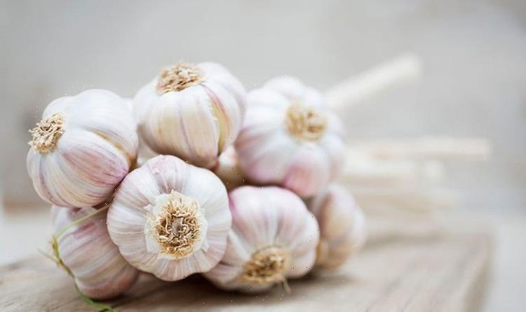 What happens if you harvest garlic too late? Best time to pick garlic explained