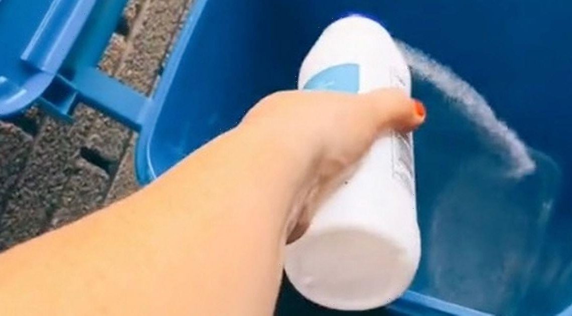 Woman’s nifty salt hack stops flies from infesting wheelie bins in hot weather