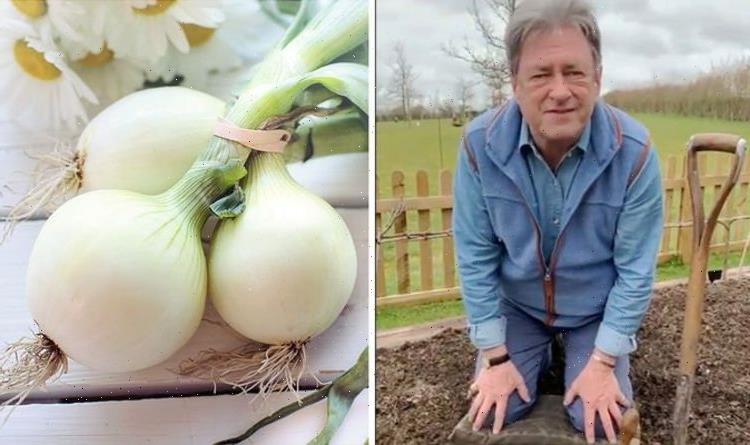 Alan Titchmarsh shares trick for growing ‘healthy beautiful’ onions