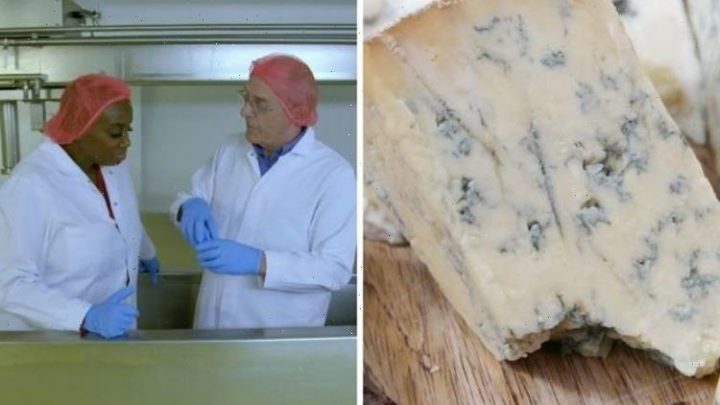 Food unwrapped: How blue cheese is really made – ‘fascinating’ process takes 12 weeks