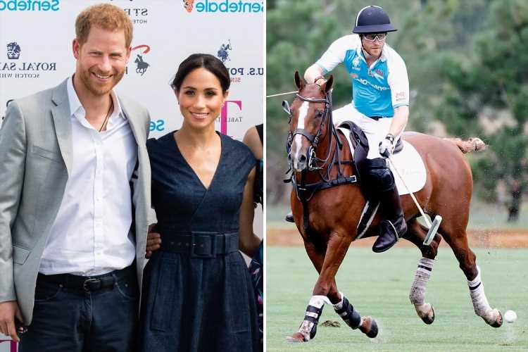 Prince Harry’s Polo match showed ‘fun side’ from past – but Meghan Markle’s a notable absence, body language expert says