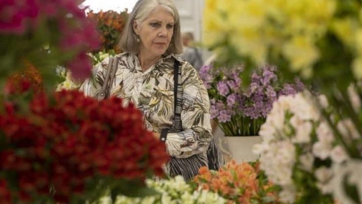 Chelsea Flower Show: Reason for ‘raised egg’ in gold medal-winning garden display