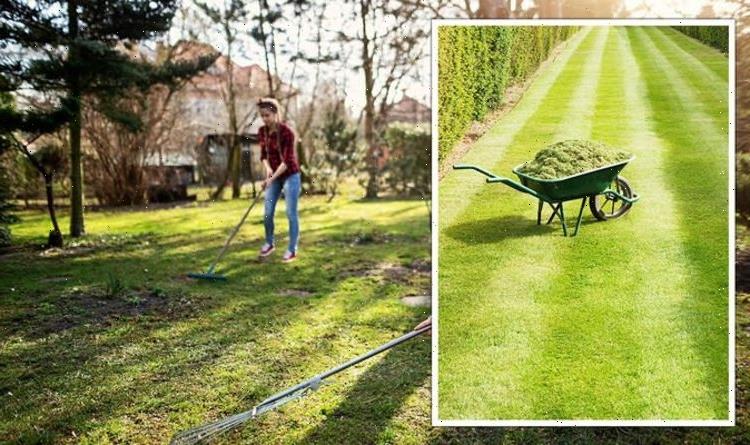How to scarify your lawn – The KEY techniques to ‘breathe life’ into your lawn