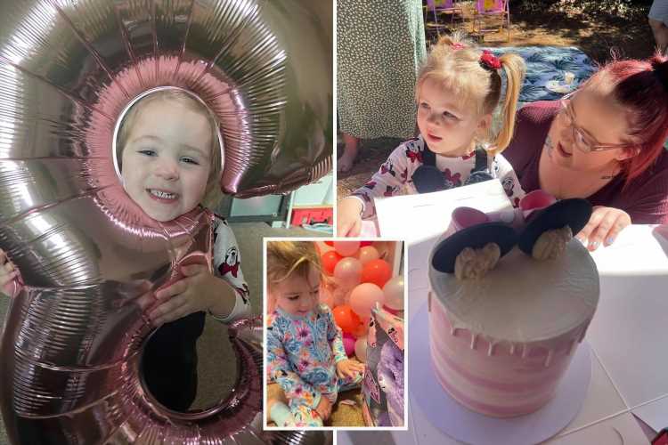 Mum heartbroken when NONE of the 20 kids invited to  daughter’s third birthday come… then left stunned by kind strangers