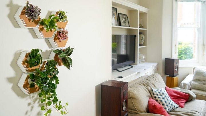 This genius new product makes displaying houseplants really easy