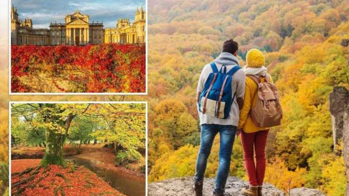 Perfect places in Britain to immerse yourself in the beauty of autumn