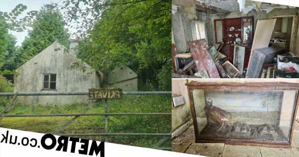 Urban explorer finds cottage abandoned with dirty dishes still in the sink