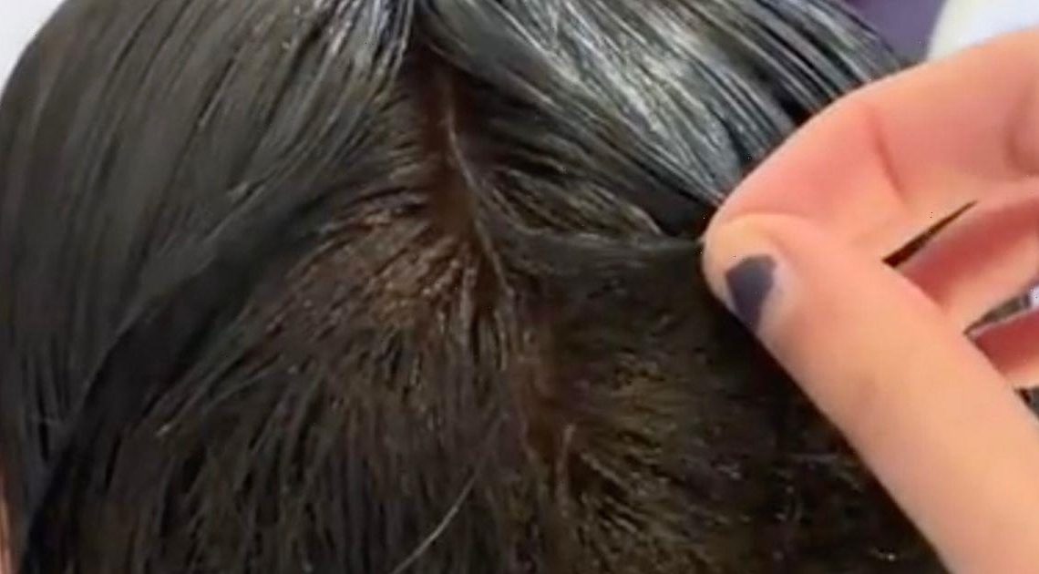 Girl, 13, battles super lice infestation as bugs ‘take full control of her hair’