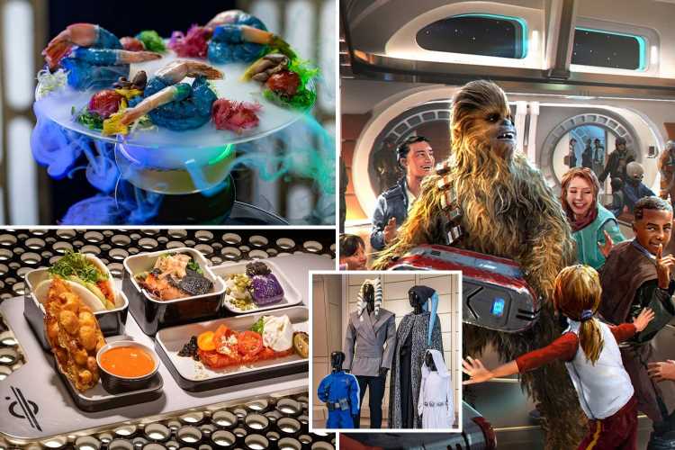 Inside the brand new Star Wars ‘immersive hotel’ opening at Disney World next year – this is what it's like