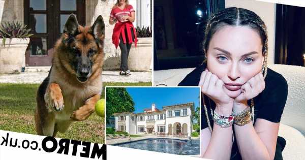 Madonna reacts as dog 'sells her old Miami mansion for $31,000,000'