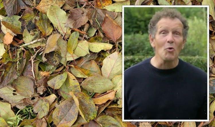 Monty Don shares ‘easiest’ way to make garden leafmould – works ‘perfectly well’