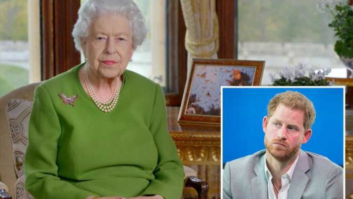 Prince Harry 'will feel snubbed' by Queen after being left out of COP26 speech but 'can't have it both ways'