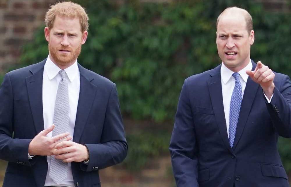 Princes William and Harry’s relationship remains ‘poor’ says royal author