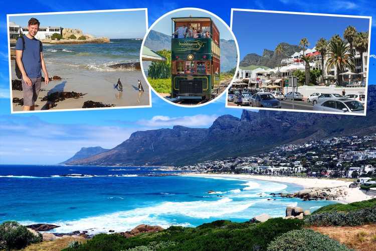 Spectacular sun-drenched Cape Town is more than just sharks