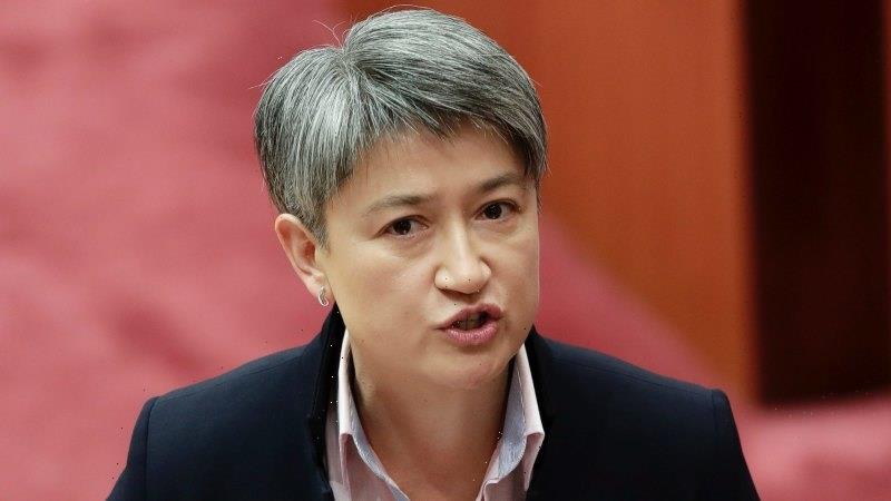 ‘Because it matters’: What is driving Penny Wong to get out of opposition