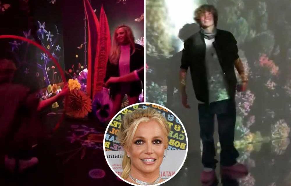 Britney Spears was ‘carefree’ during LA art exhibit outing with sons