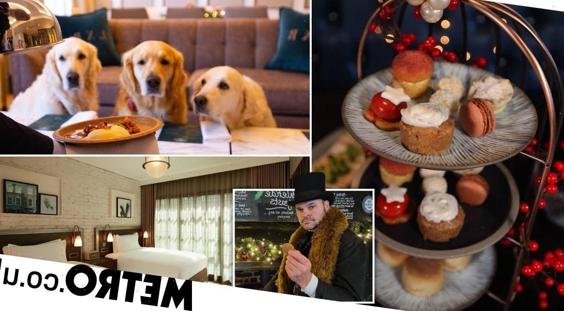 Christmas outings around the UK – from a festive afternoon tea to doggy treats