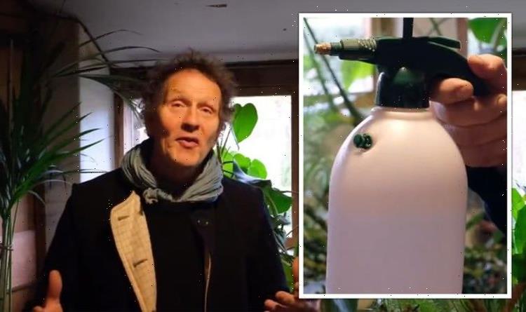 Monty Don shares ‘secret’ to keeping houseplants ‘happy and healthy’ all winter