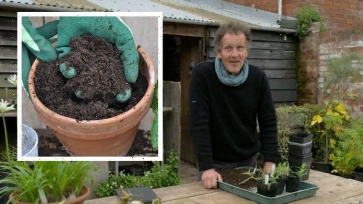 ‘Avoid peat’: Monty Don shares top tips for potting compost in winter – ‘it is cheap’