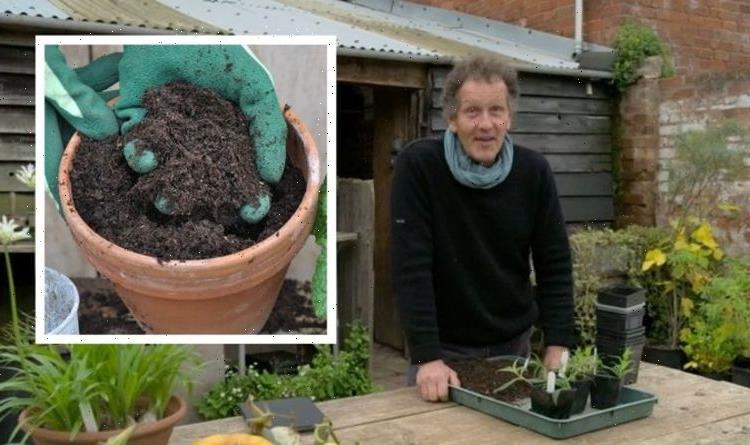 ‘Avoid peat’: Monty Don shares top tips for potting compost in winter – ‘it is cheap’