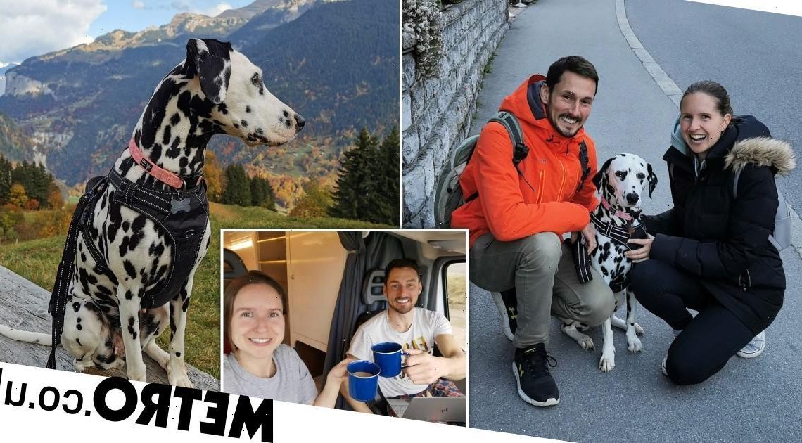 Couple spend £16k turning old van into a home then travel Europe with their dog