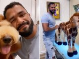 I’m a dog groomer and turned my pet poodle into a giraffe for fun – he’s also been styled as The Grinch