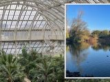 Kew Gardens: The perfect day out seeing the ‘most diverse’ plant collections in the world