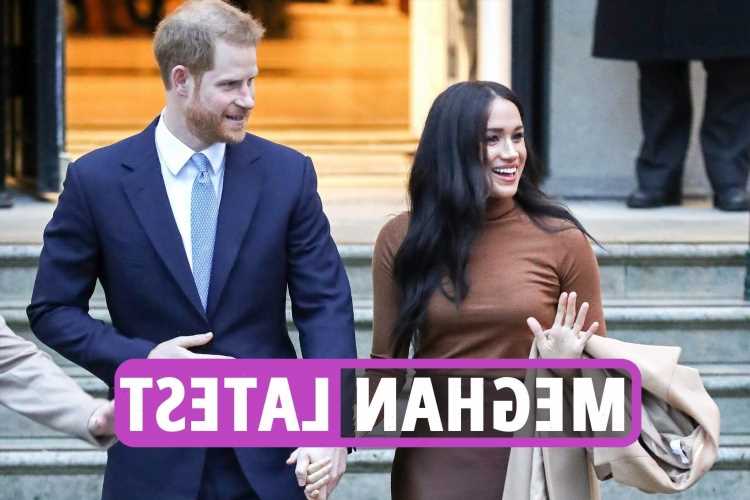 Meghan Markle latest news: Prince Harry & Meg 'constant hand holding' reveals truth about their relationship says expert