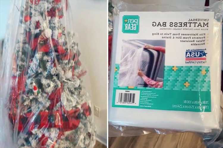 Woman shares storage hack to put away your Christmas tree in seconds… AND makes getting it out next year easier too