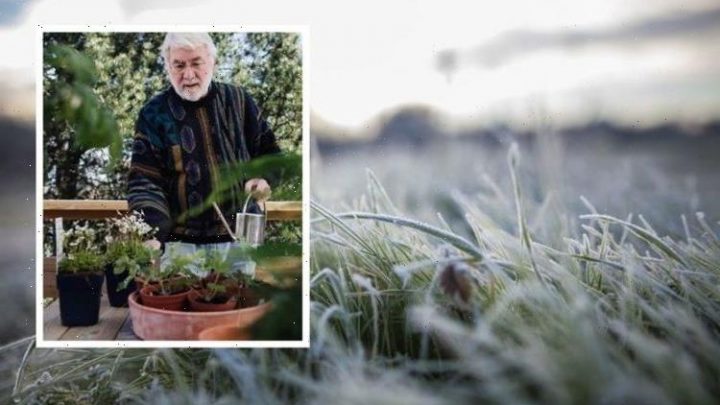 ‘Care for your lawn’: Gardening expert shares tasks for the winter – top tips