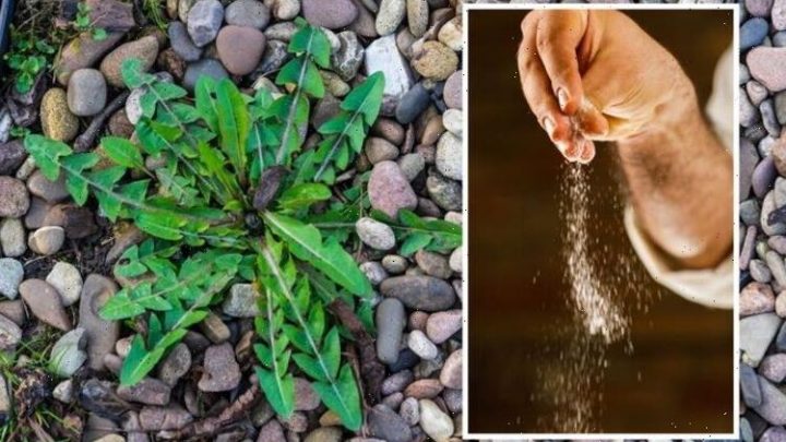 ‘Will kill everything it touches’: Get rid of ‘pesky weeds’ using cheap cupboard items
