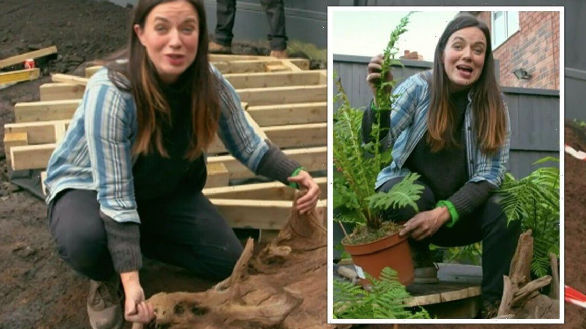 Frances Tophill shares ‘incredibly easy’ way to create habitat for newts in your garden