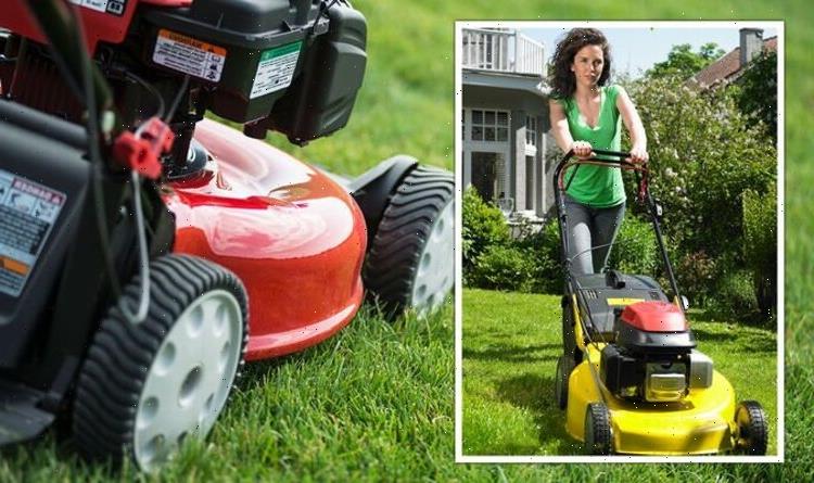 Lawn care tips to avoid ‘disaster’ when mowing – ‘push don’t pull’